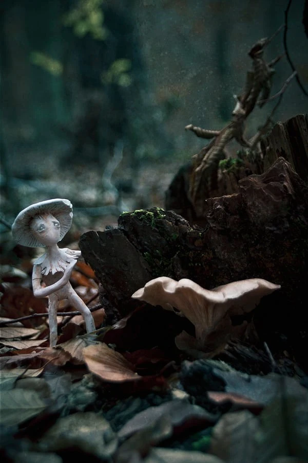 Evolution - Mushroom in the woods surreal sculpture and photo artwork
